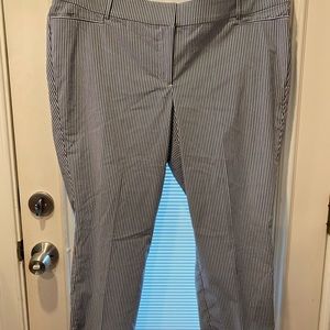 Lane Bryant pants